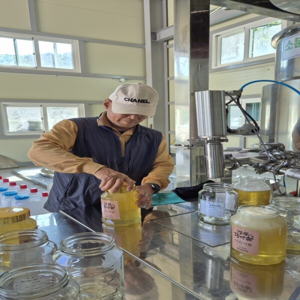 강릉몰,우리들농원 천연야생화꿀2.4kg100%자연꿀 산지직송