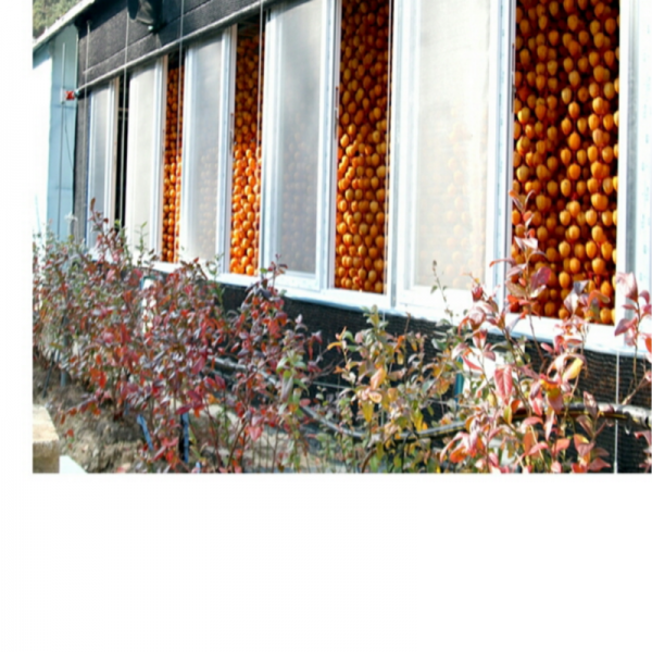 강릉몰,[우리들농원]강릉곶감 건시 한지1호(특대2.7kg/36~42개 말랑한곶감)