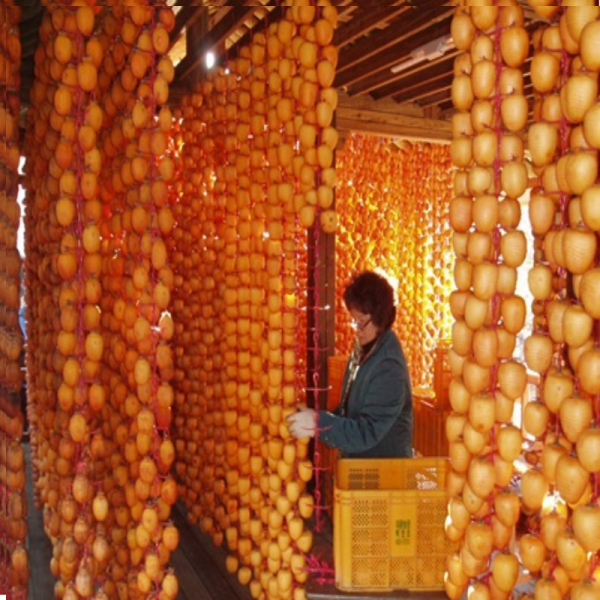 강릉몰,[우리들농원]강릉곶감 건시 실속형1호(2.0kg/36~42개)