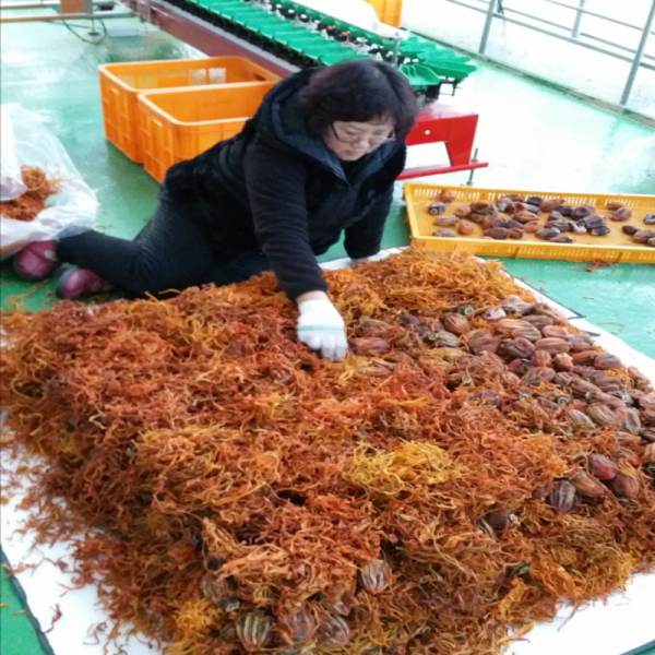 강릉몰,[우리들농원]신사임당곶감1호 (총중량2.3kg 개당 55g이상 30개,말랑한 건시곶감)