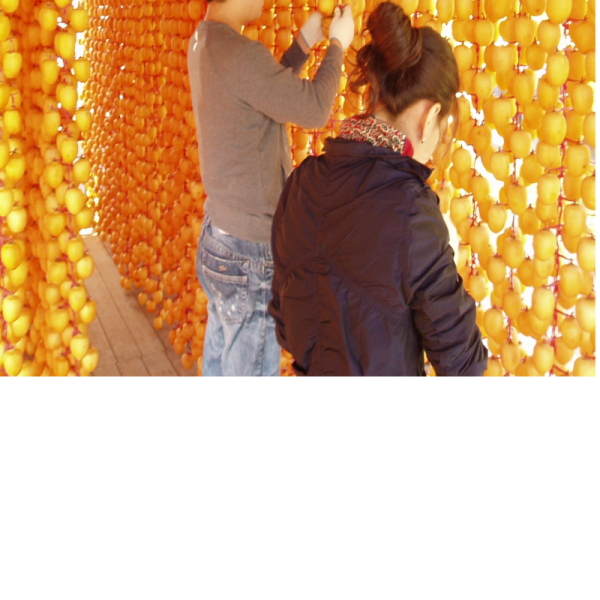 강원더몰,신사임당곶감3호 (총중량0.7kg 개당 35g 20개,말랑한 건시곶감)