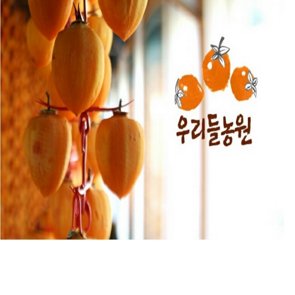 강원더몰,신사임당곶감3호 (총중량0.7kg 개당 35g 20개,말랑한 건시곶감)