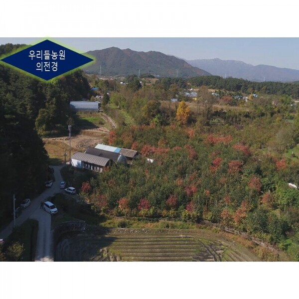 강원더몰,신사임당곶감3호 (총중량0.7kg 개당 35g 20개,말랑한 건시곶감)