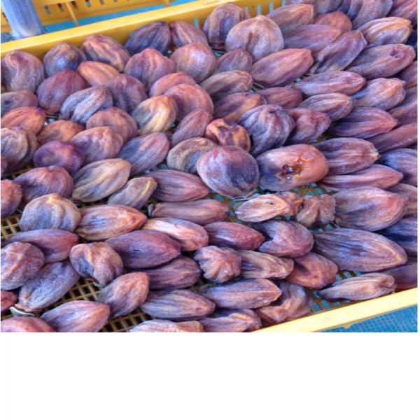 강원더몰,신사임당곶감3호 (총중량0.7kg 개당 35g 20개,말랑한 건시곶감)