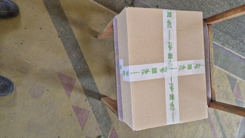 강릉몰,강원도 산두릅 강릉 개두릅 엄나무순 1kg 산지직송 향나물 두릅 산나물 제철 봄나물 택배